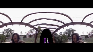 VirtualRealTrans.com – Spring breakers