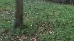 maggie le sale leche cuando juega con el dildo en el parque