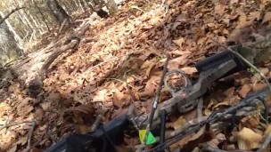 Masterbating in the woods