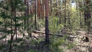 дрочка на прогулке в красивых трусиках в экстрим