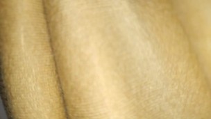 Me cojo a la empleada del hogar mientras los jefes no están, me saca toda la leche