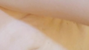 MexReport #16. The announcement