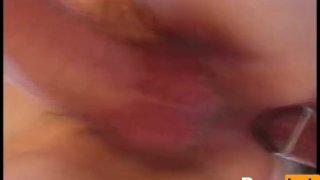 Young Tender Trannies 16 – Scene 2