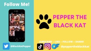 Cum on my toes after a Chocolate Footjob